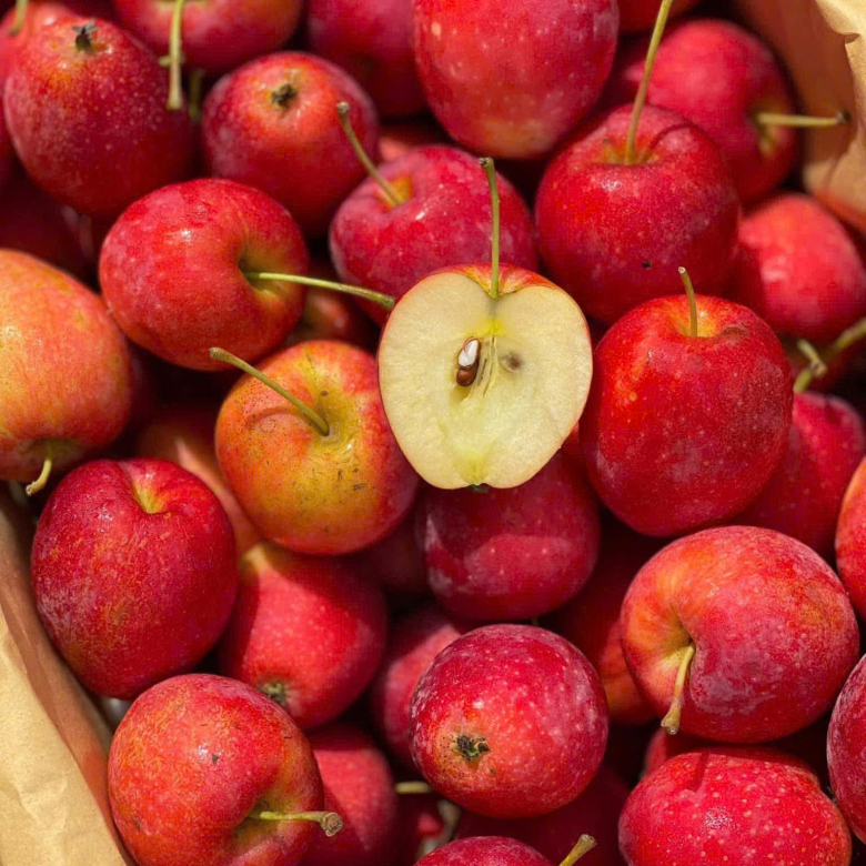 Táo Cherry