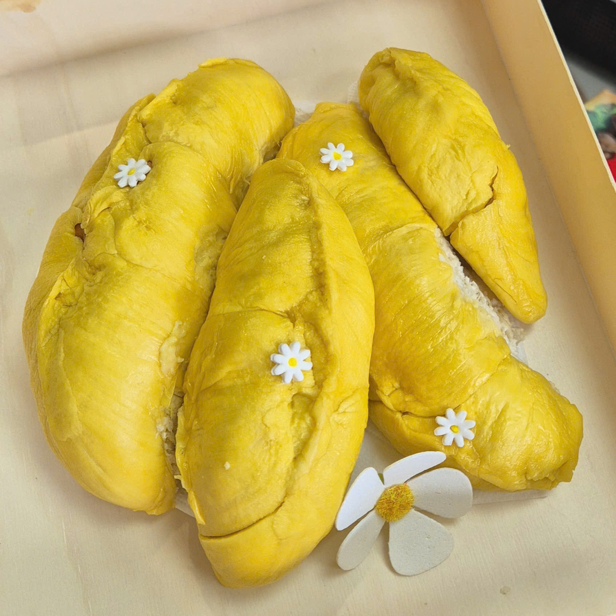 Sầu riêng Musang King