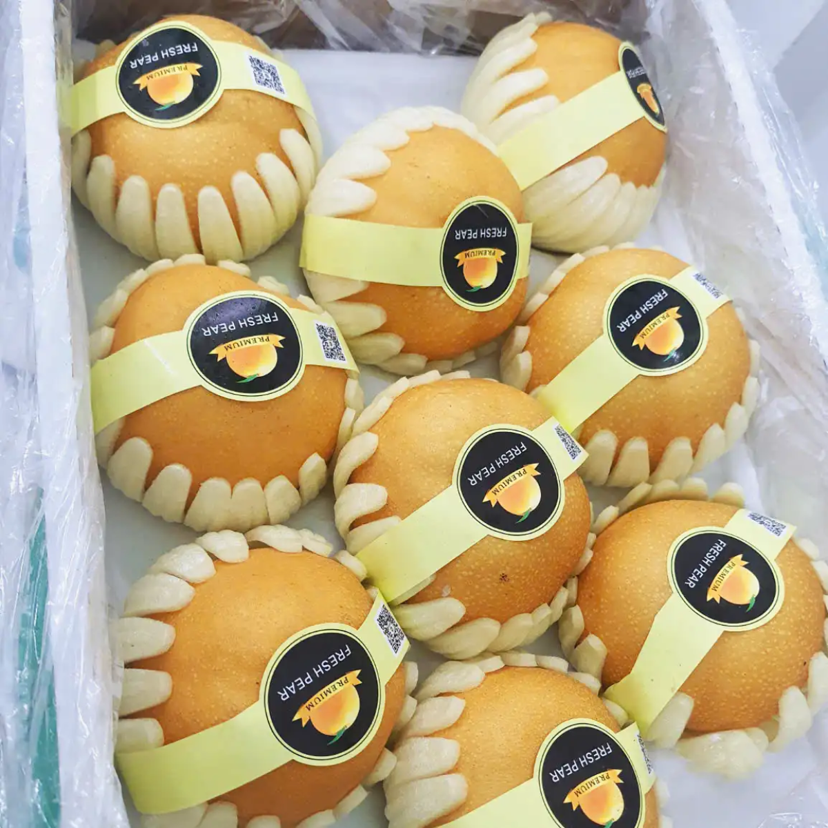 Lê Nâu NĐT