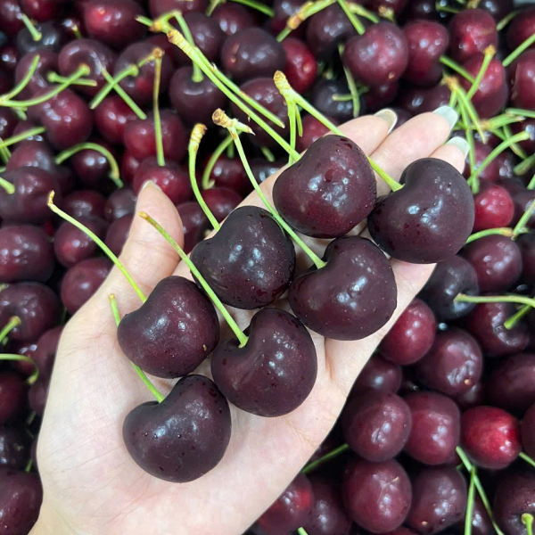 Cherry Mỹ
