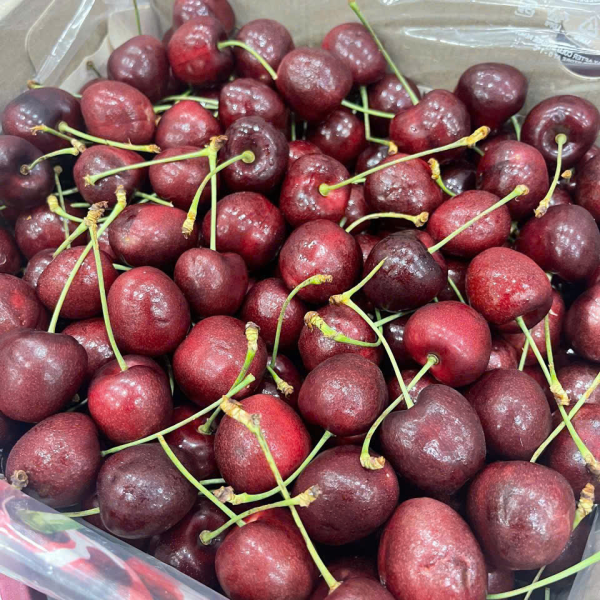 Cherry Chile 2J